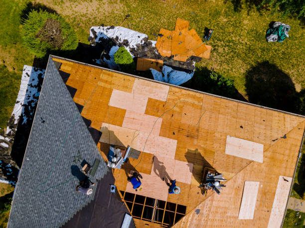 Roof Gutter Cleaning in San Felipe, TX