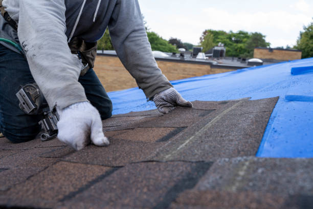 Best Roof Repair Services  in San Felipe, TX