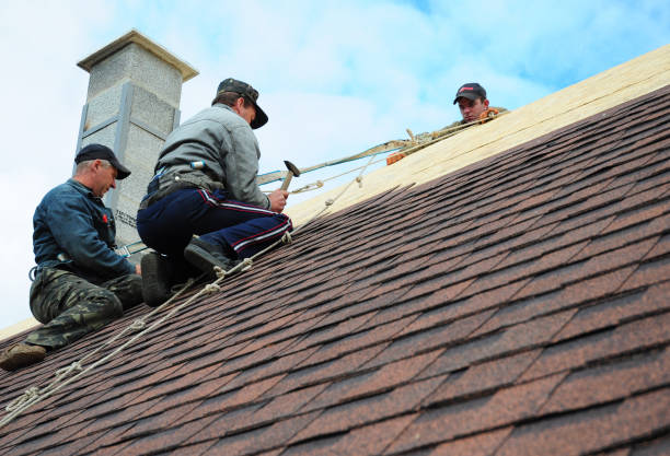 Best Commercial Roofing Services  in San Felipe, TX