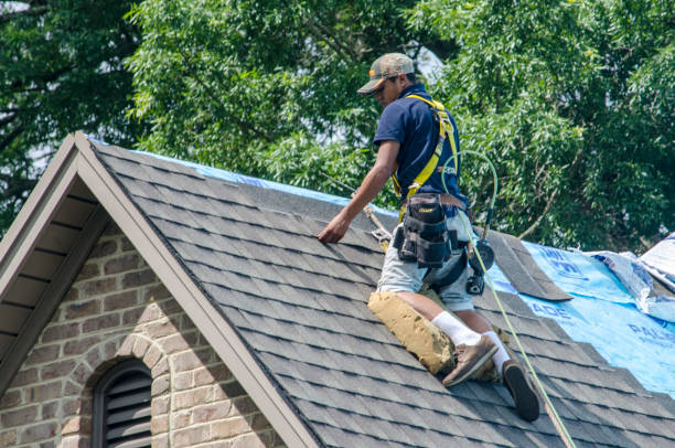 Best Storm Damage Roof Repair  in San Felipe, TX
